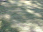 DSCN1568.JPG