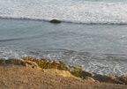 Ocean Wave