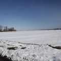 _MG_0964