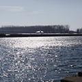 _MG_0968
