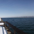 _MG_0969