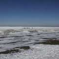 _MG_0973