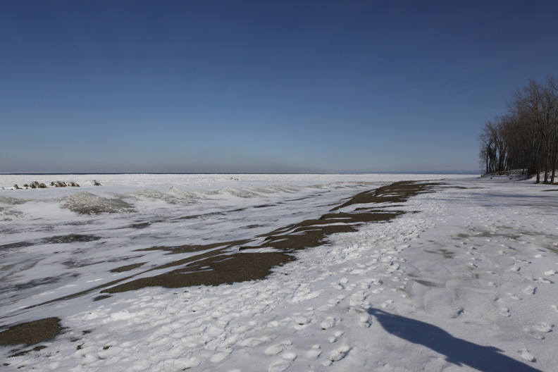 _MG_0974.JPG