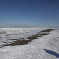 _MG_0974