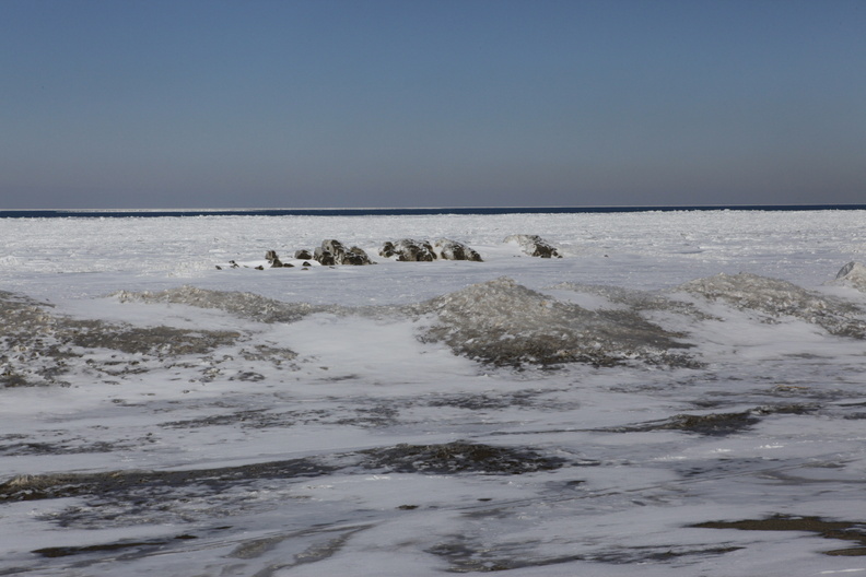 _MG_0975.JPG