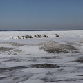 _MG_0975