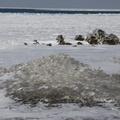 _MG_0976