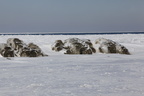 _MG_0980