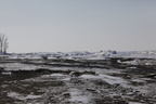 _MG_0985