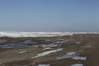 _MG_0986
