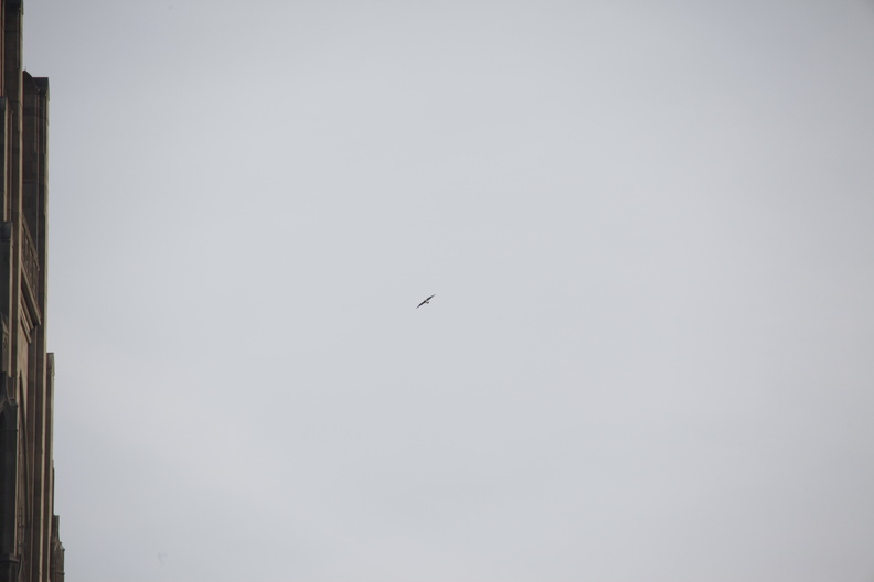 _MG_7183.JPG