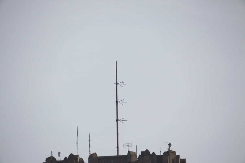 _MG_7172.JPG
