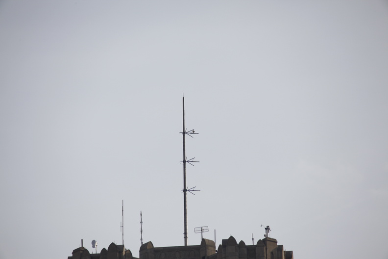 _MG_7170.JPG